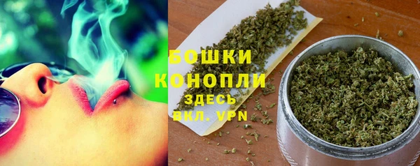 ALPHA PVP Гвардейск
