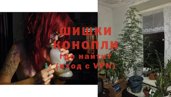 трава Переславль-Залесский