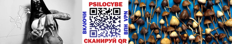 Псилоцибиновые грибы GOLDEN TEACHER наркошоп omg маркетплейс Островной